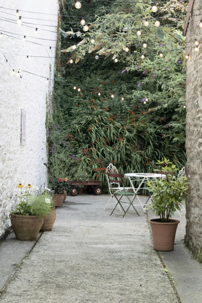 Real photograph of a courtyard patio with paving and planting in Salcombe