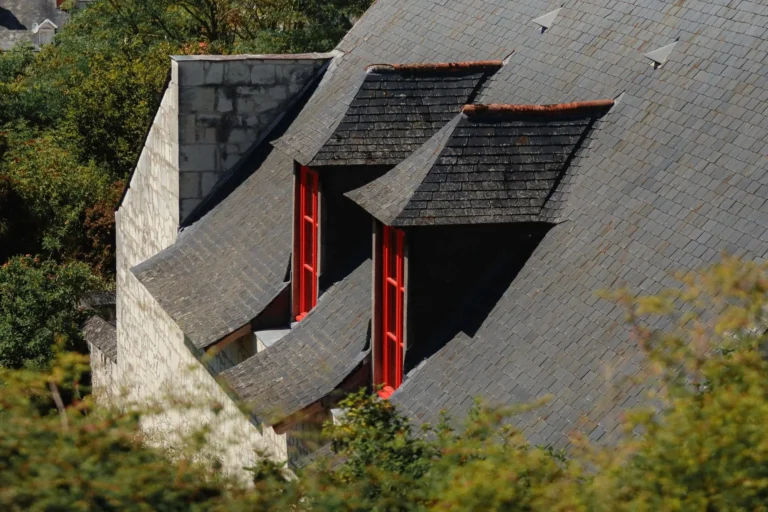 Slate roof with red dormer windows and carefully arranged roof details